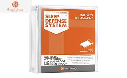 This zippered bed bug encasement is too good for words. Best Mattress Encasements For Bed Bugs - 2021 Update
