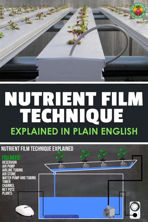 The Nutrient Film Technique Explained Hydroponics Diy Film Technique