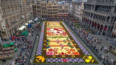 G carpet of flowers (uncommon). 600,000 blooms form flower carpet at brussels' grand place