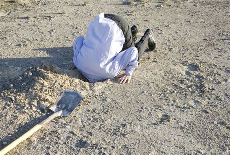 Bury Your Head In The Sand Stock Photo Image Of People 116635830