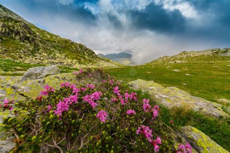 Beautiful Mountain Scenery In Transylvania Stock Photo Image Of
