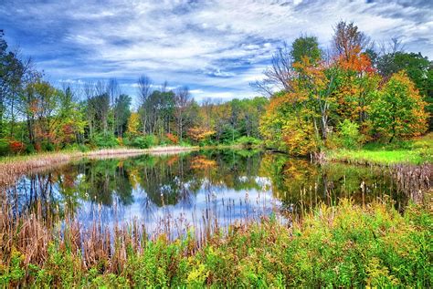 Reflections Of Fall In The Finger Lakes Photograph By Lynn Bauer Fine
