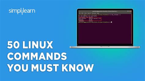 50 Linux Commands You Must Know Linux Commands Cheat Sheet 2024