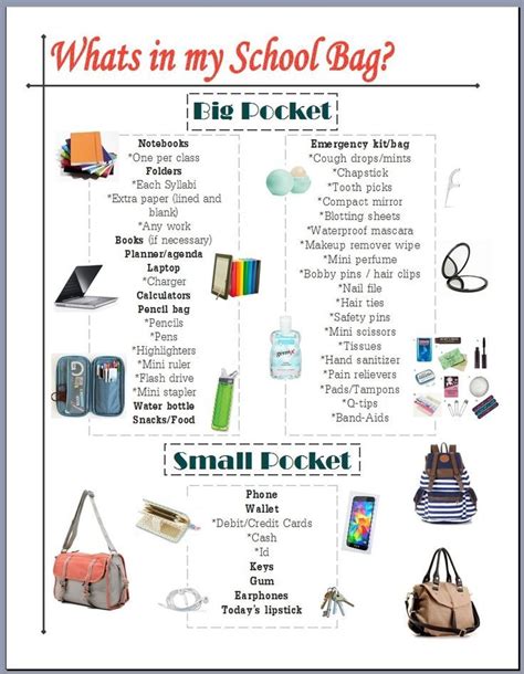Whats In My School Bag Info Sheet For The Back To School Season