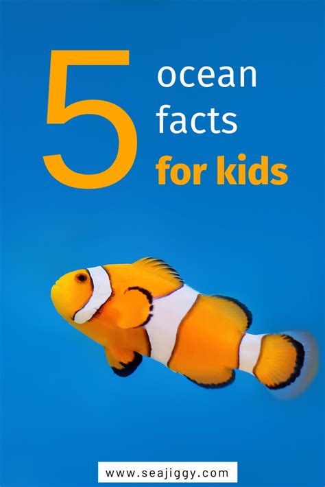 5 Ocean Facts You Are Embarrassed You Dont Know Facts For Kids