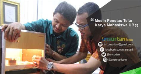 Usaha telur ayam negeri sebagai produsen salah satu bentuk bisnis telur ayam negeri adalah dengan menjadi produsen atau. Mesin Penetas Telur Karya Mahasiswa UB | Unsurtani.com