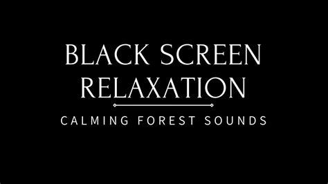 Forest Sounds Black Screen Relaxation For Sleep Meditation Nature Sounds Birdsong 1140