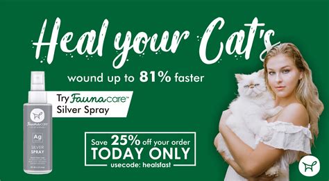 3 Crucial Steps To Correctly Care For Your Cats Wounds Fauna Care