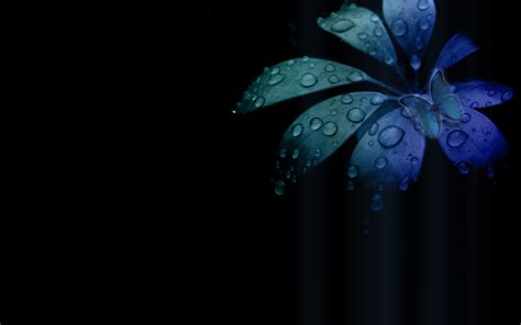 38 Best Black Wallpapers From Around the World