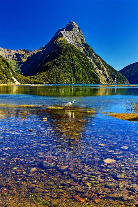If you're planning your first trip to new zealand, or if you're planning a return trip to see more of this beautiful and wild country. The narcissist | New zealand travel, Beautiful places to ...