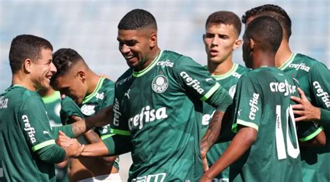 Ao Vivo Onde Assistir Palmeiras X Novorizontino Pela Semifinal Do