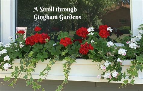 Individual garden tours are now available to book. Home Garden Tour (A Virtual Stroll Through Gingham Gardens ...