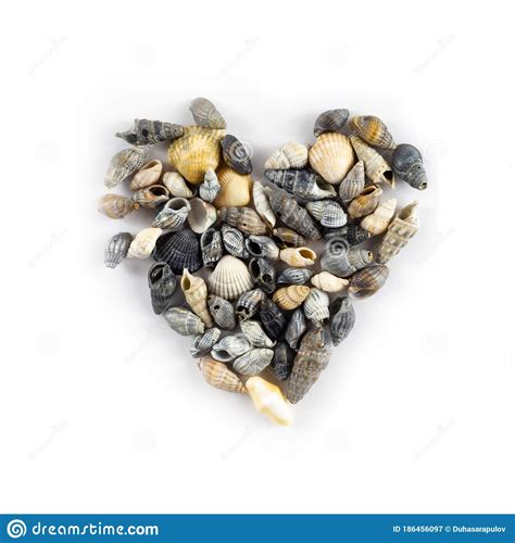 Heart Made Of Shells On A White Background Isolate Stock Image Image