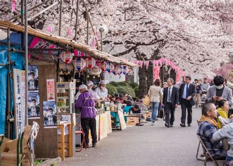 Sakura Guide 10 Best Places To See Cherry Blossoms In Kyoto Byfood
