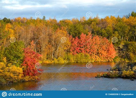 View Of The Autumn Forest And The Surface Of The Lake