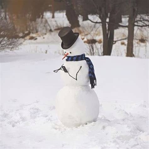 So, if you are interested in spreading the christmas magic even when there is no snow, scroll down the page. 10+ Hilariously Creative Snowmen That Would Make Calvin ...