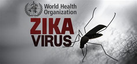 Zika Virus Case Confirmed In Hocking County Woub Public Media