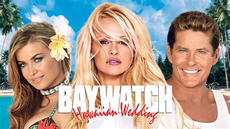 Baywatch The Reunion Thetvdb Com