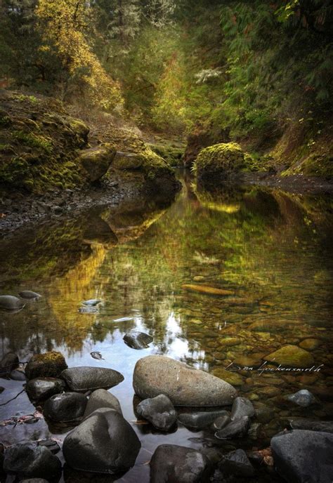 The Brook By Dan Hockensmith Water Washington Trees Stream Rocks