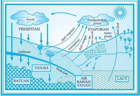 Siklus Hidrologi Pengertian Unsur Unsur Dan Macam Macam Siklus Hidrologi