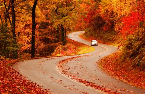 Nine Creative Ways To See North Carolinas Fall Colors