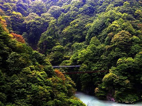 Kurobe Gorge Forest Gorge Bridge Waterway Hd Wallpaper Peakpx