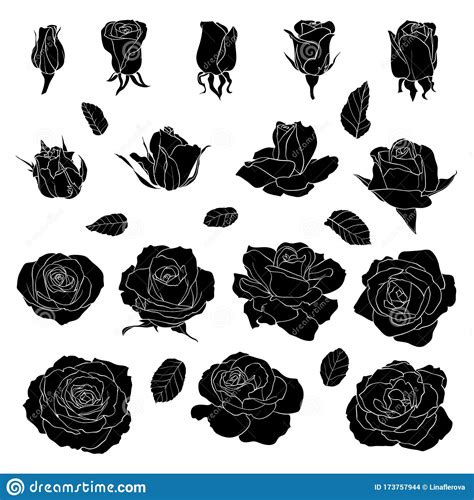 Rosas De Silhueta Pretas Isoladas Sobre Fundo Branco Ilustração Do