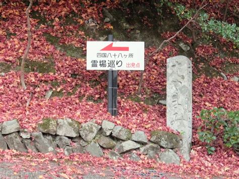 東近江市・永源寺の紅葉を観る（その3） 旅行大好き、飛行機も！
