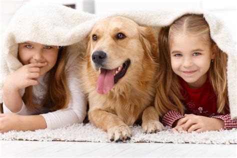 Rüyada Köpek Saldırması Ne Demek? - Modanium