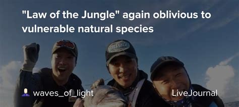I'm super sad jin doesn't get to continue with the rest of the gang, because the group is really great and everyone blended so well, and next episode looks like it's going to be an emotional one and i would love to see that side from jin. "Law of the Jungle" again oblivious to vulnerable natural ...