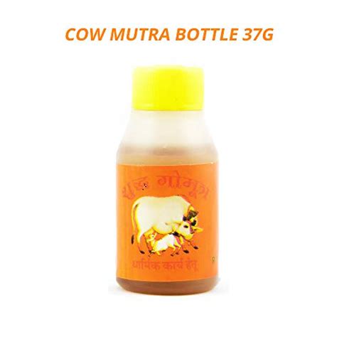 Buy Desi Cow Urine Indian Cow Urine Cow Mutra Gau Mutra Ark