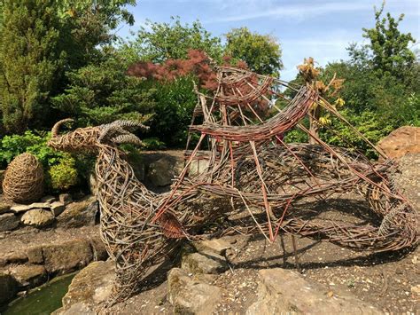 Willow Dragon Sculptures Willows Willow