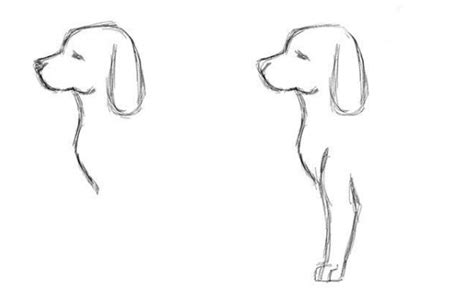 Kako Nacrtati Psa Za Početnike Kako Nacrtati štene Olovkom Korak Po