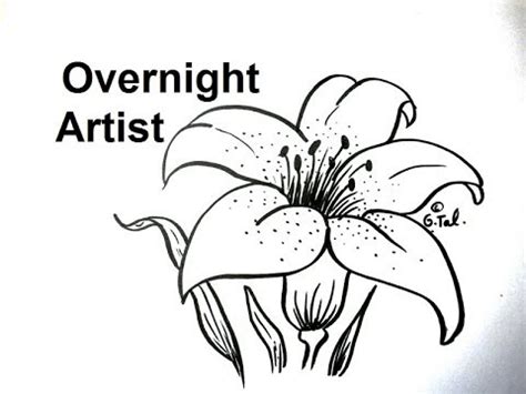 Find fun new ways to enjoy the process of creating art with toddlers and preschoolers.you can follow along with us and. How To Draw Flowers - Draw A Lily Flower Easy Step By Step ...