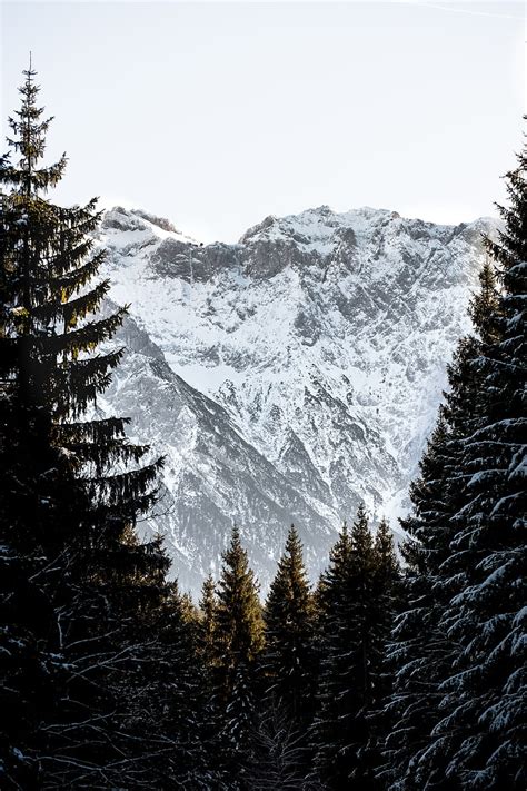 Mountains Trees Snow Landscape Winter Hd Phone Wallpaper Peakpx