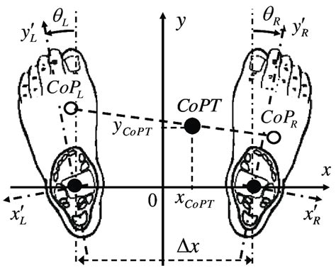 Schematic Of The Foot Reference Position Used For Total Center Of Pre X
