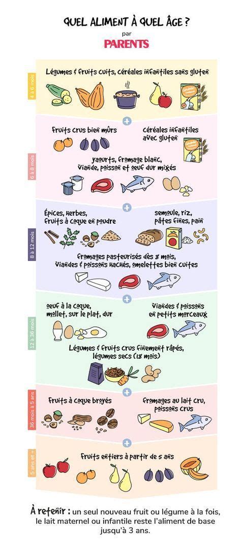 Educational Infographic Nutrition Et Alimentation Des Bébés Quel