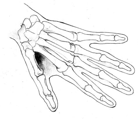 Easy Step By Step Skeleton Hand Drawing Easy Drawing