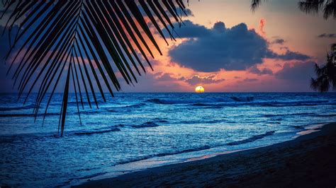 Hawaii Sunset Night Beach Waves Picture Hd Wallpaper Desktop