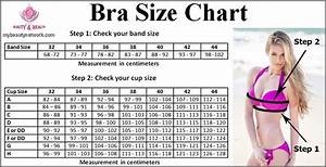 Bra Size Chart How To Find Your Bra Size