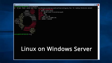 Now with windows subsystem for linux, adds a new capability eliminating the overhead of setting up the os from scratch. Windows Subsystem For Linux (WSL) Comes To Windows Server ...