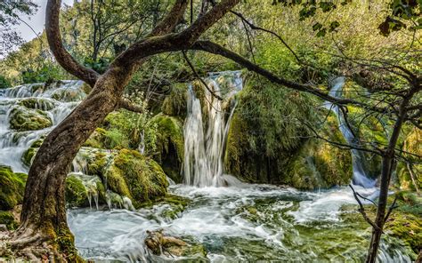 Download Wallpapers Plitvice Lakes Waterfall Lake Forest Croatia