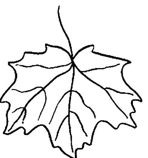 A Leaf That Is Black And White With No Leaves On The Bottom It Has An