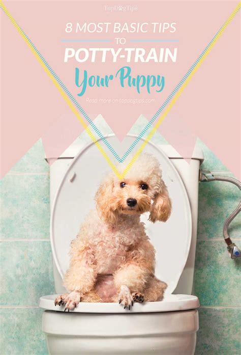 This way, your dog can learn to relieve himself in a designated spot for example, when your dog reaches this spot, say, go potty, or use a similar verbal cue. 8 Basic Tips for Potty Training a Puppy