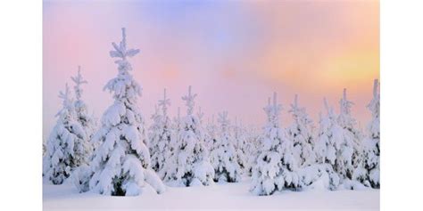 49 Hintergrundbilder Windows 10 Kostenlos Winter Kaziafrik