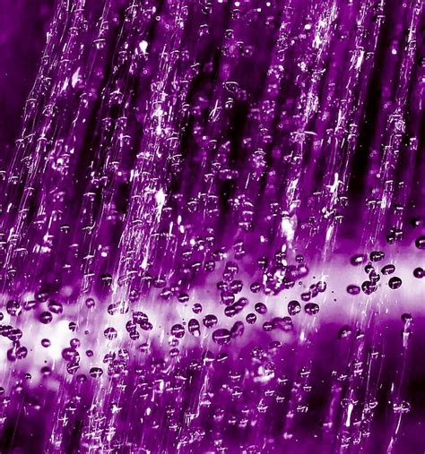 Purple Rain Purple Rain 3 Bnilsen Flickr