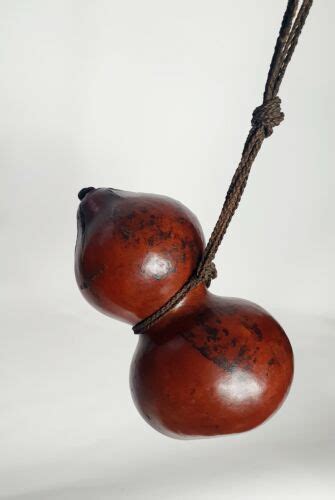Antique African Gourdcalabash Container Cameroon West Africa Bamileke