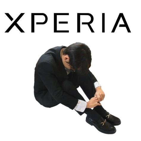 アルカディア (16) オクトパストラベラー (5) オトコのコはメイド服がお好き!? 次期Xperia XZ4での「優先の改善点」、Xperia XZ3での「主な反省点 ...