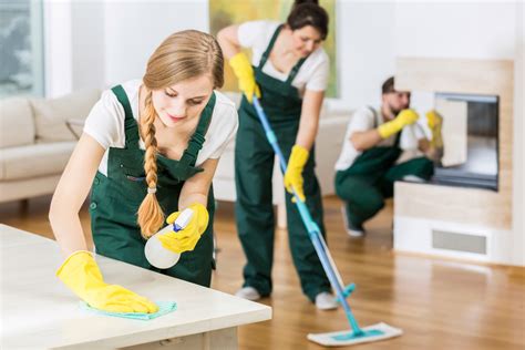 Look For The Qualities Of Great Cleaning Services Dahl House Interiors
