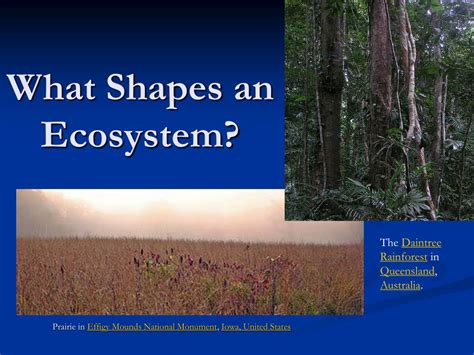 Ppt What Shapes An Ecosystem Powerpoint Presentation Free Download Id